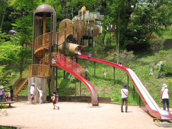 🌳 쇼와의 숲(쇼와노모리) 이미지 2